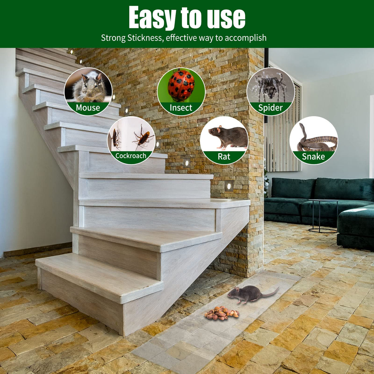 Qualirey pack of traps designed for house and garden pests