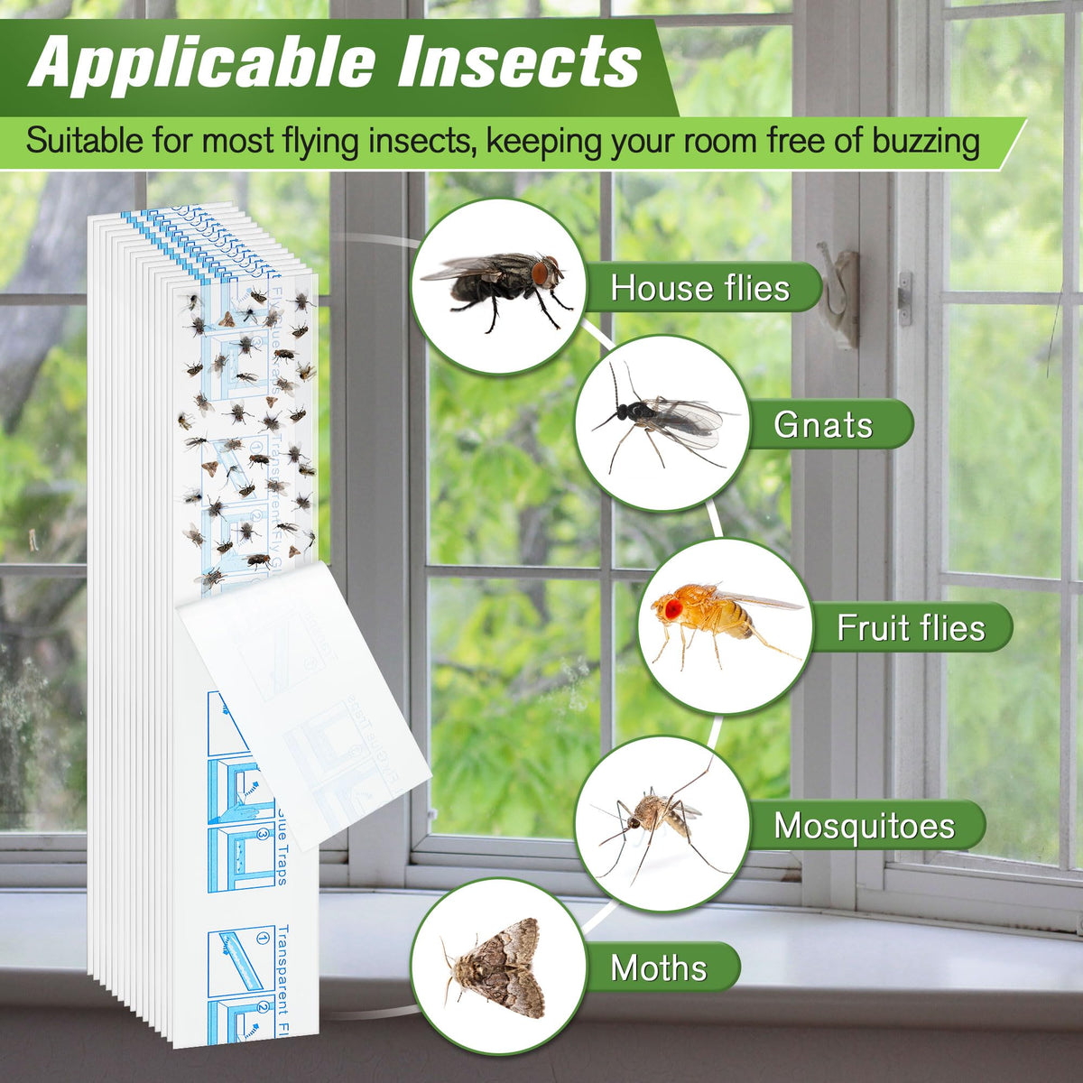 Qualirey odorless non-toxic traps safe for homes with kids and pets