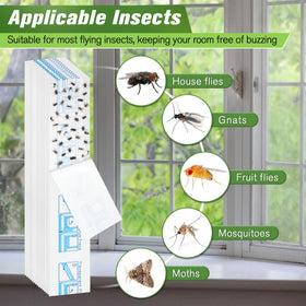 Qualirey odorless non-toxic traps safe for homes with kids and pets