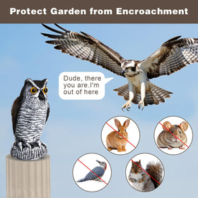 Qualirey outdoor owl repellent safeguards crops and fruit trees.