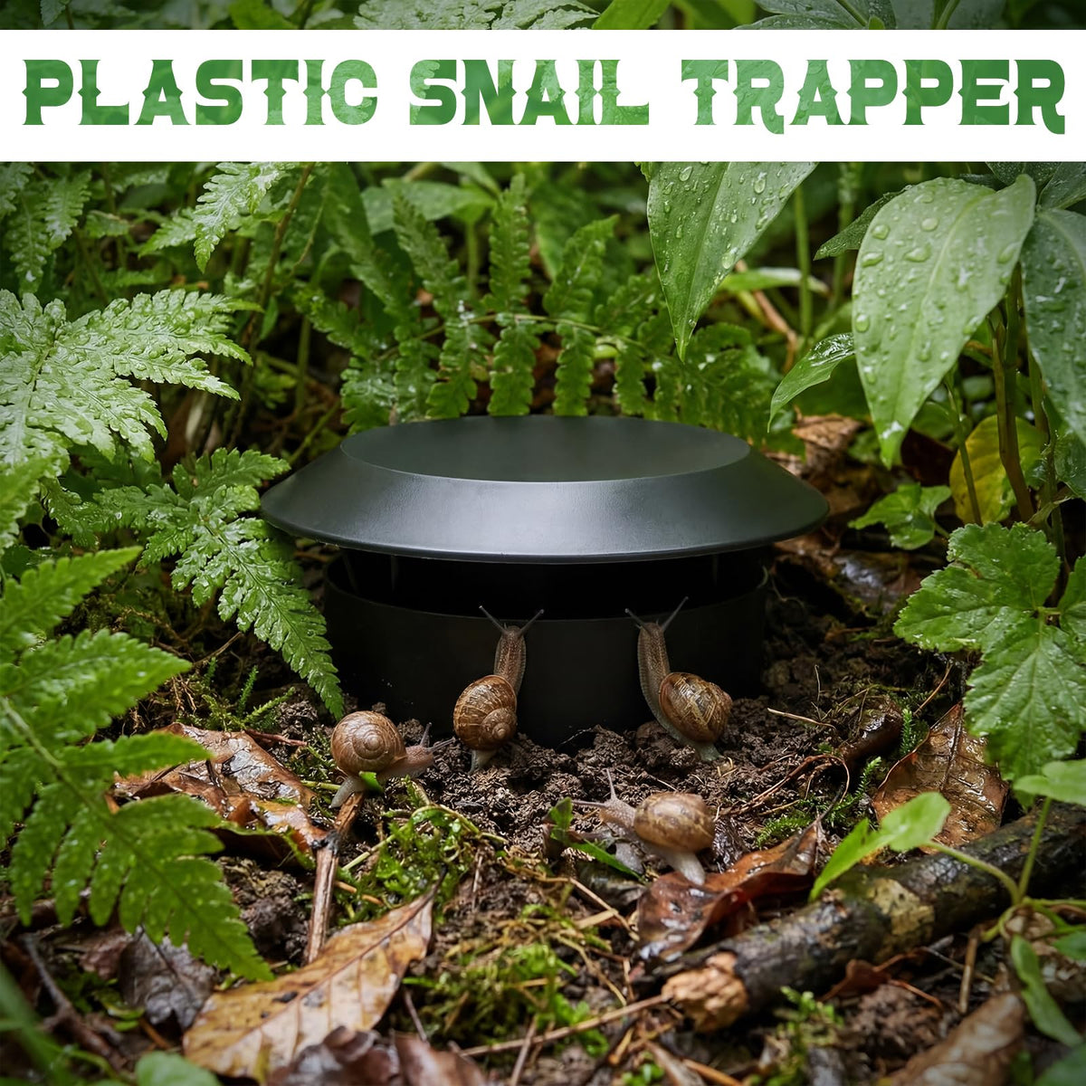 Qualirey reusable traps offer chemical-free pest management