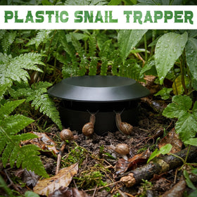 Qualirey reusable traps offer chemical-free pest management