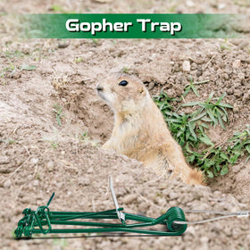 Qualirey outdoor gopher trap in lawn setting for yard management