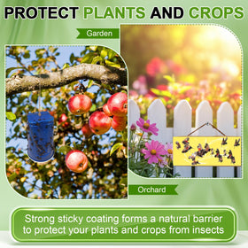Qualirey pest-capture-on-tree-trunk demonstrates targeted barrier effectiveness.
