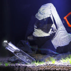 Qualirey planaria trap aquarium-cleaning support for upkeep and efficiency.