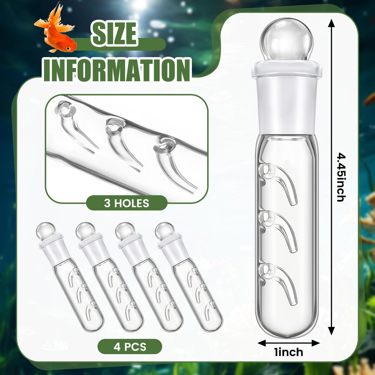 Qualirey planaria trap clear-glass design provides easy monitoring of activity.