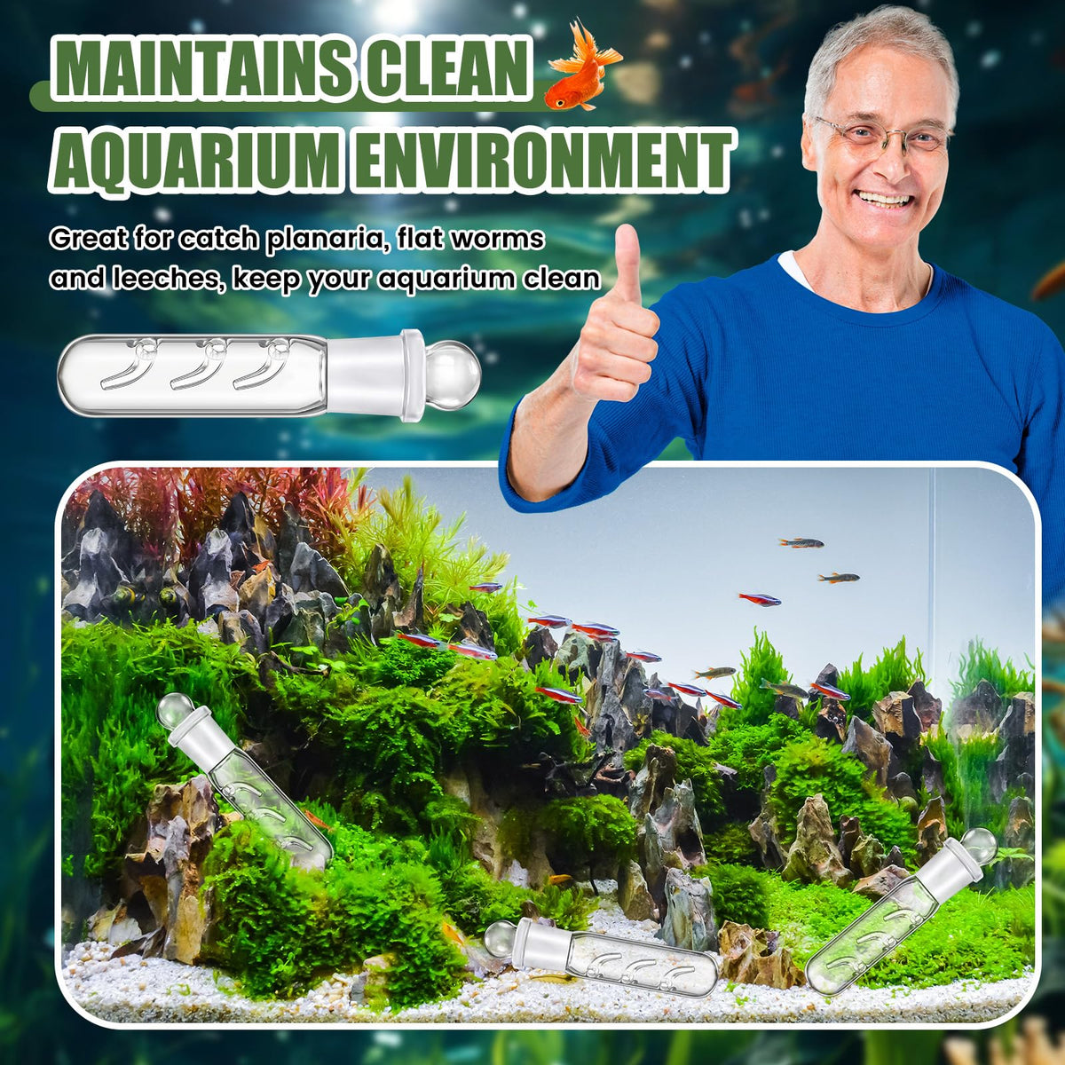 Qualirey planaria trap dwarf shrimp tank friendly design fits community tanks.