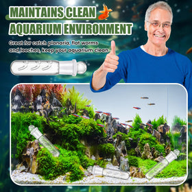 Qualirey planaria trap dwarf shrimp tank friendly design fits community tanks.