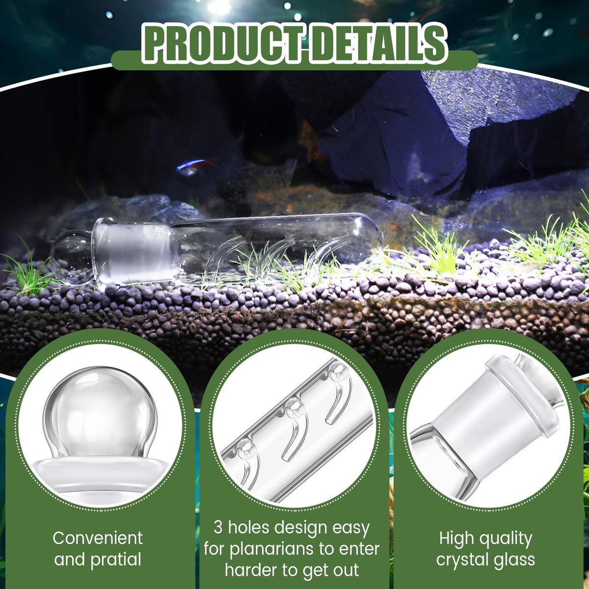 Qualirey planaria trap three-hole design speeds capture in your tank.