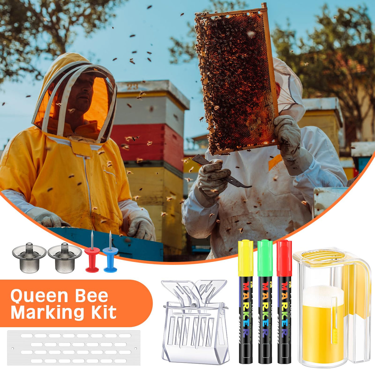 Qualirey queen bee cell cup for safe insertion and handling