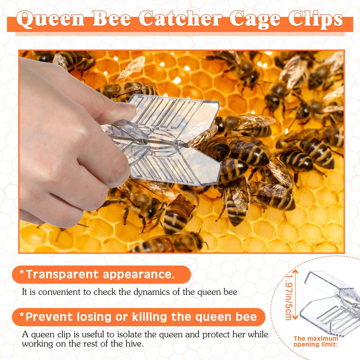 Qualirey queen marking bottle top view shows one-handed plunger for gentle handling.