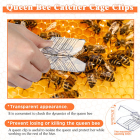 Qualirey queen marking bottle top view shows one-handed plunger for gentle handling.