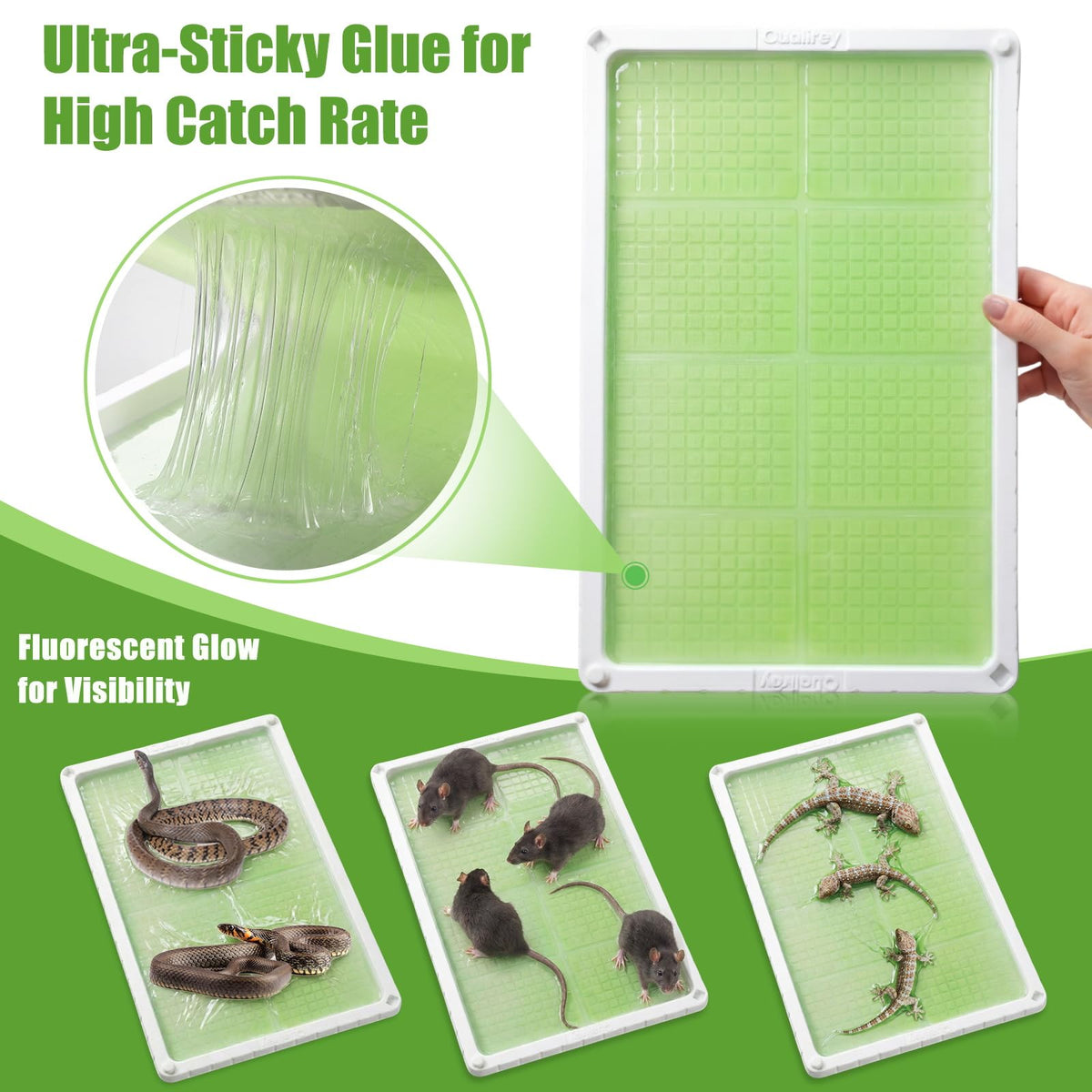 Qualirey indoor-outdoor pest trap versatile for homes and sheds.