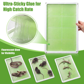 Qualirey indoor-outdoor pest trap versatile for homes and sheds.