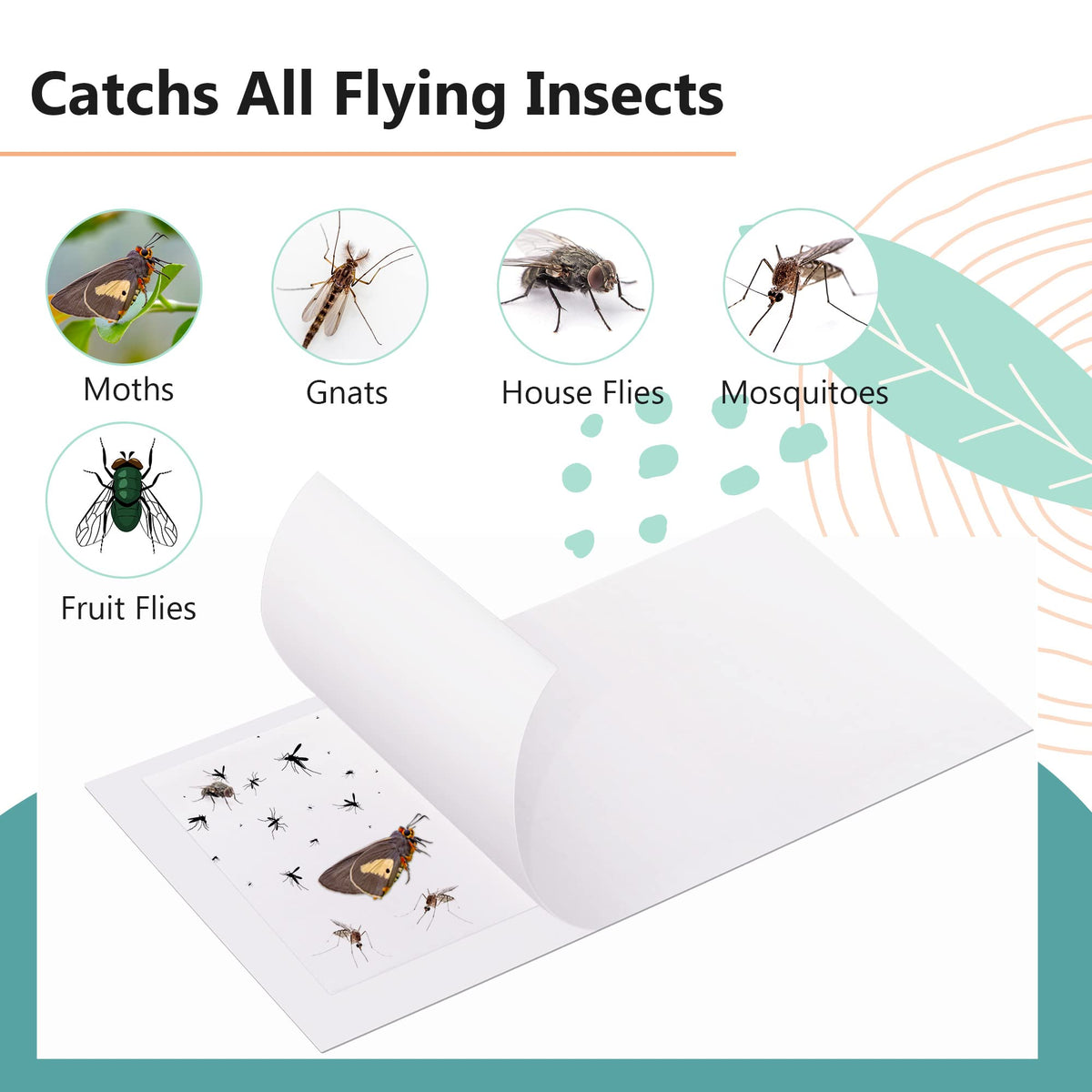 Qualirey replacement sticky card in trap, clutter-free 3x5 inch design for precise placement.