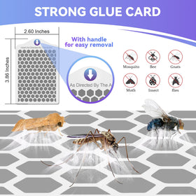 Qualirey refill shown as non-toxic and odorless for safe home use.