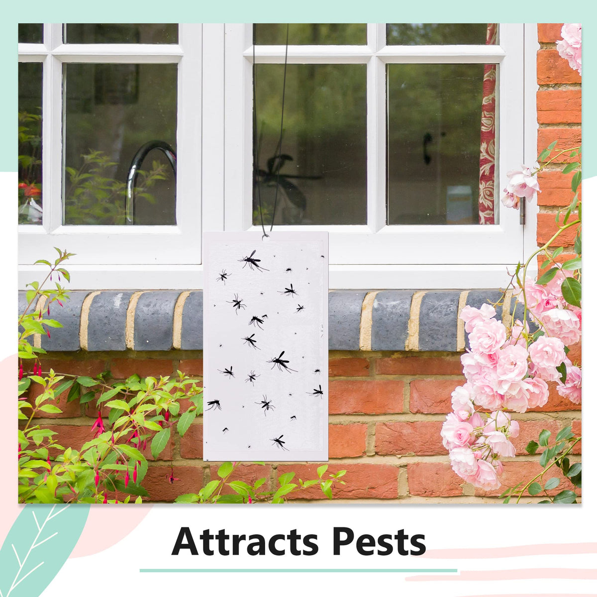 Qualirey odorless glue board is safe for kids and pets.