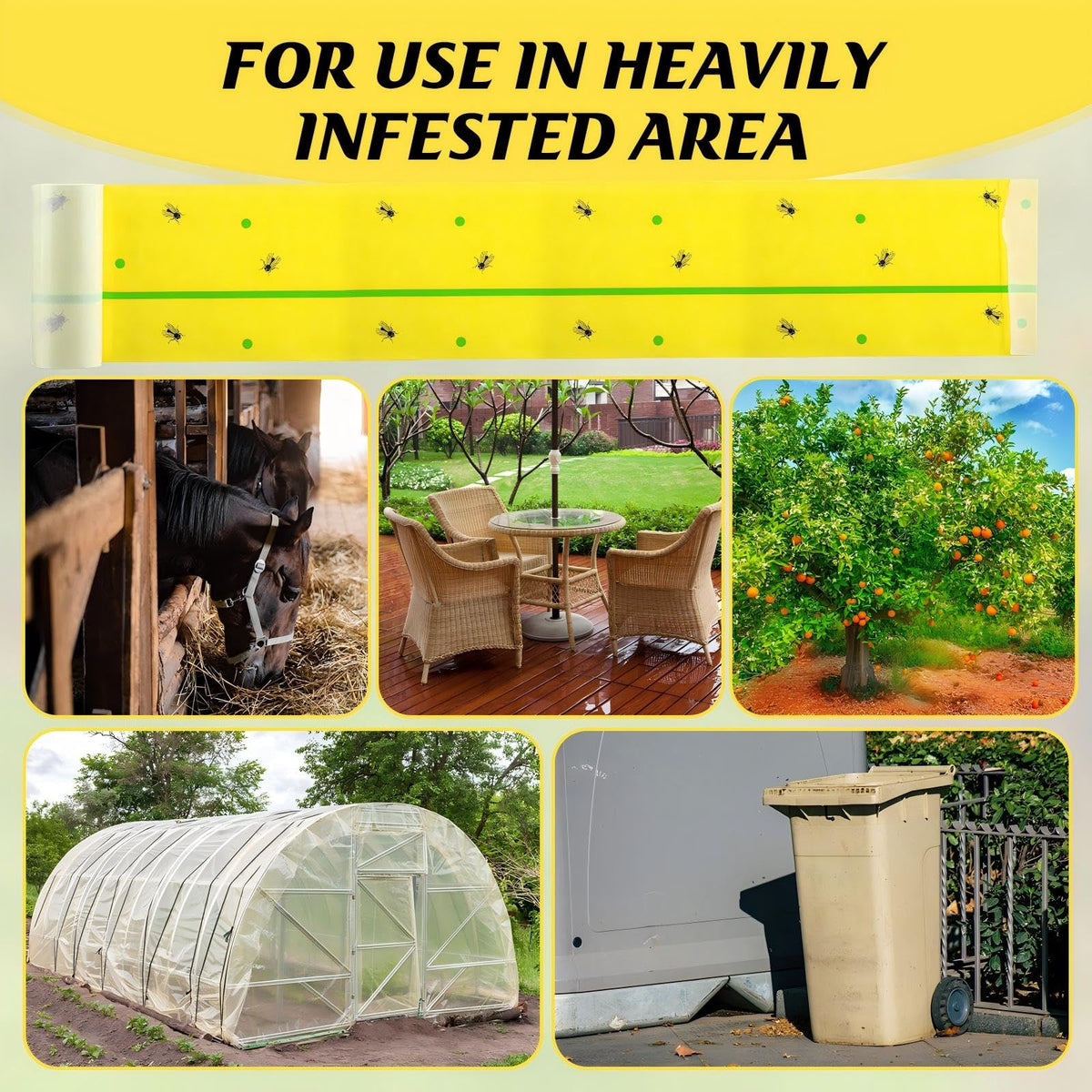 Qualirey six roll pack keeps you stocked for tree protection.