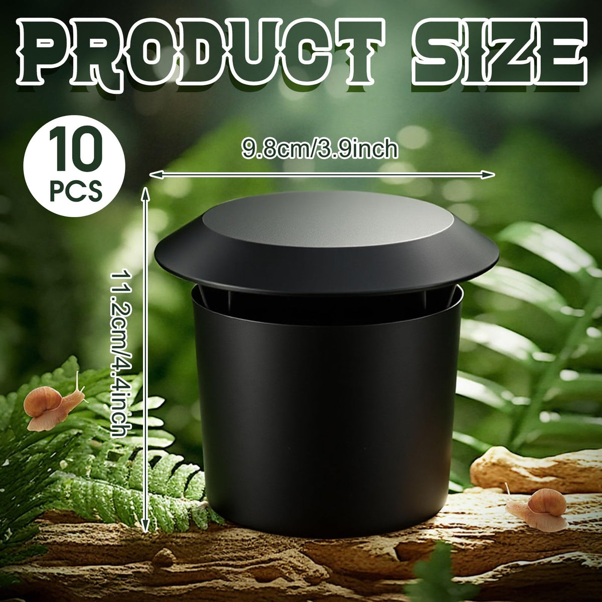 Qualirey snail trap in outdoor black box, simple placement for slug capture.