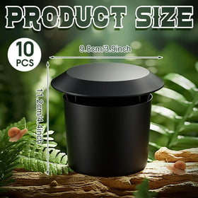 Qualirey snail trap in outdoor black box, simple placement for slug capture.