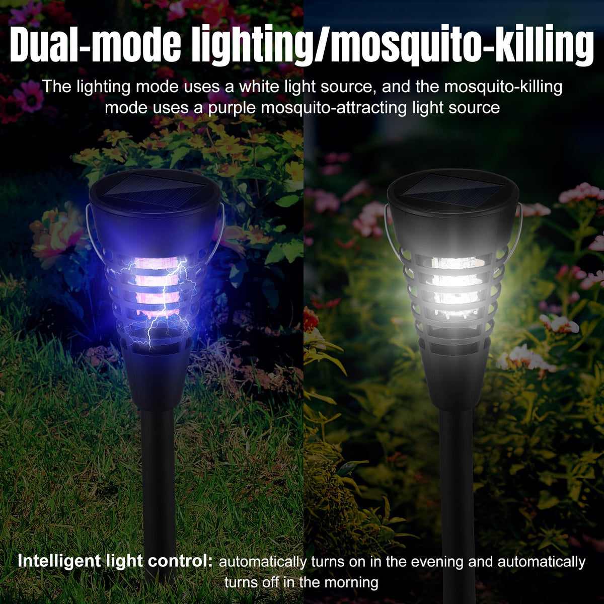 Qualirey compact unit sized 15.7 inches is lightweight and portable.
