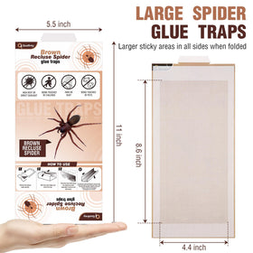 Qualirey 12-pack packaging highlights value and multi-room placement.