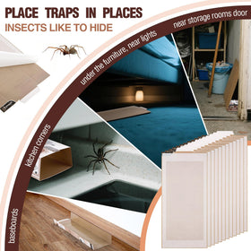 Qualirey traps foldable design demonstrates easy storage and flexible use.