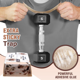 Qualirey traps are pet-safe to use around family and pets.