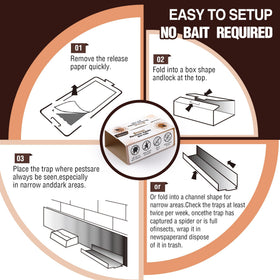 Qualirey trap placement ideas for kitchen and basement environments.