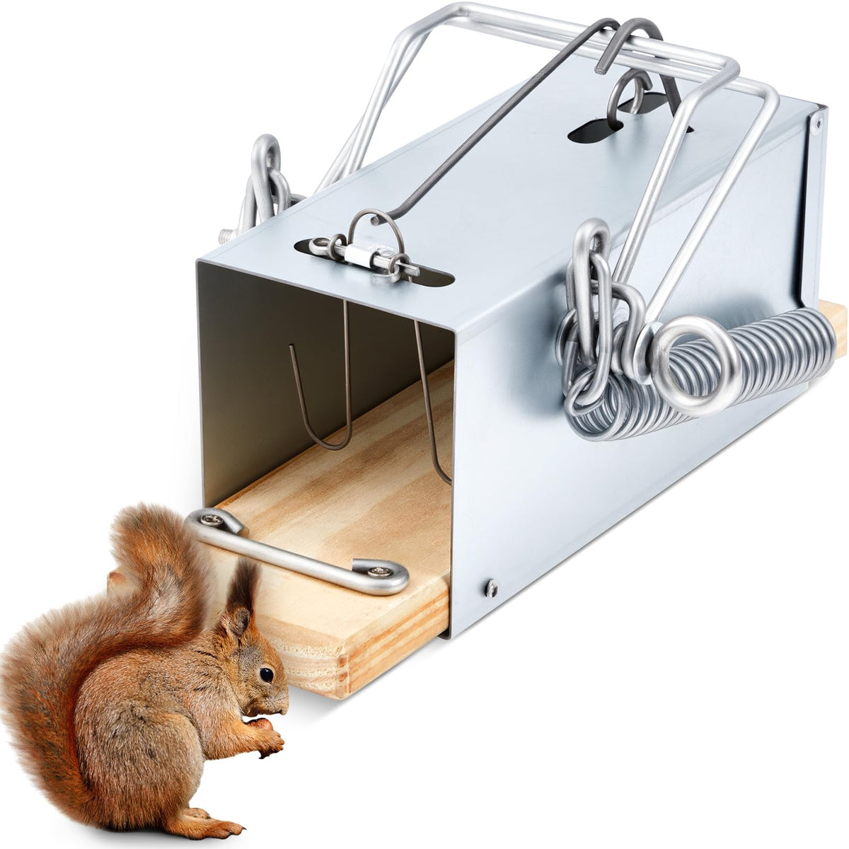 Qualirey squirrel trap outdoor setup demonstrates a durable tube design for the garden.