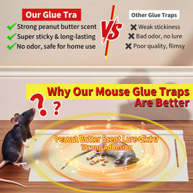 Qualirey folded house style trap designed for narrow gaps