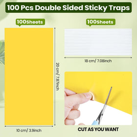 Qualirey trap cut to fit a 4-6 inch pot.