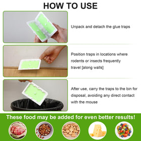 Qualirey traps capture mice and small pests in basements or attics.