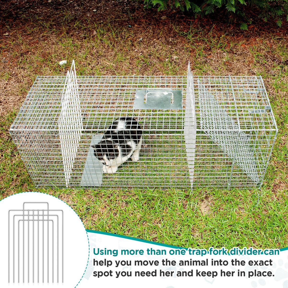Qualirey trap divider easy installation saves time during setup.