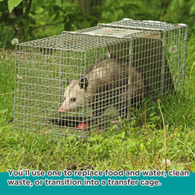 Qualirey trap divider safety feature supports safe animal isolation.