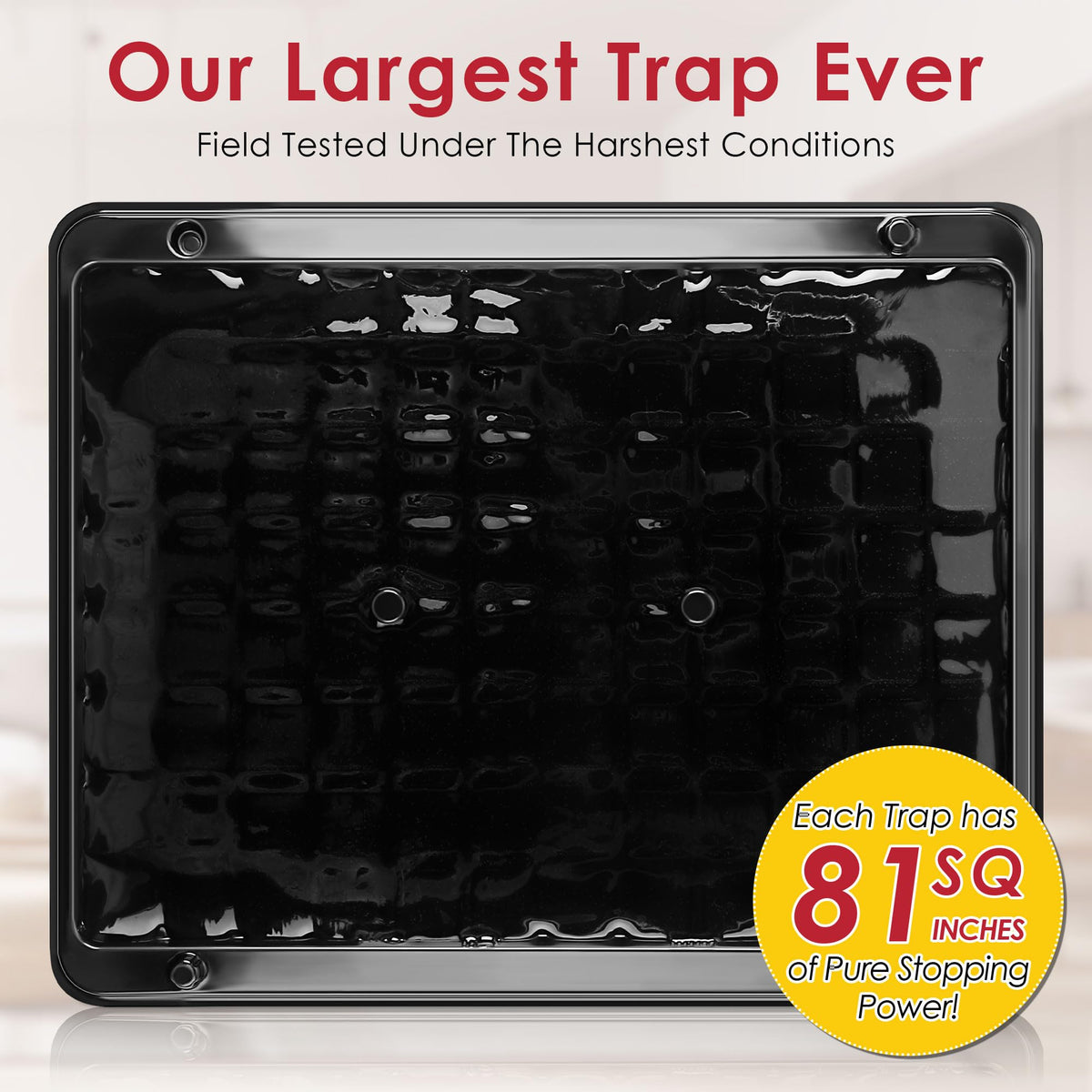 Qualirey indoor-use trap safe for homes with kids and pets when used properly
