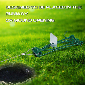 Qualirey trap installed underground in a garden bed