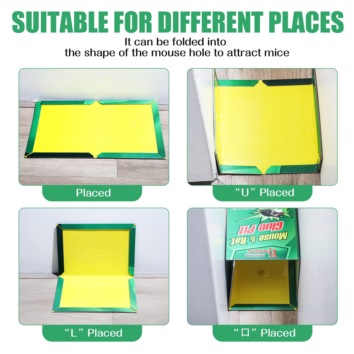 Qualirey trap placement in kitchen or garage for flexible use.