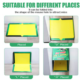 Qualirey trap placement in kitchen or garage for flexible use.