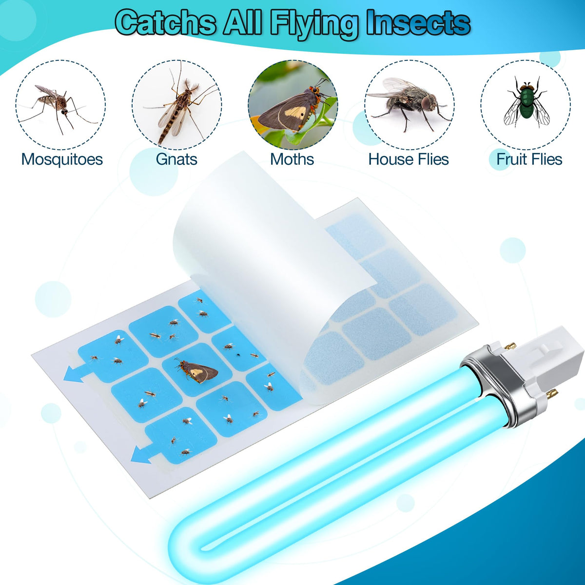 Qualirey UV light at 365nm attracts fruit flies and gnats.