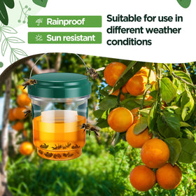 Qualirey dual-entry wasp trap increases capture by inviting more insects