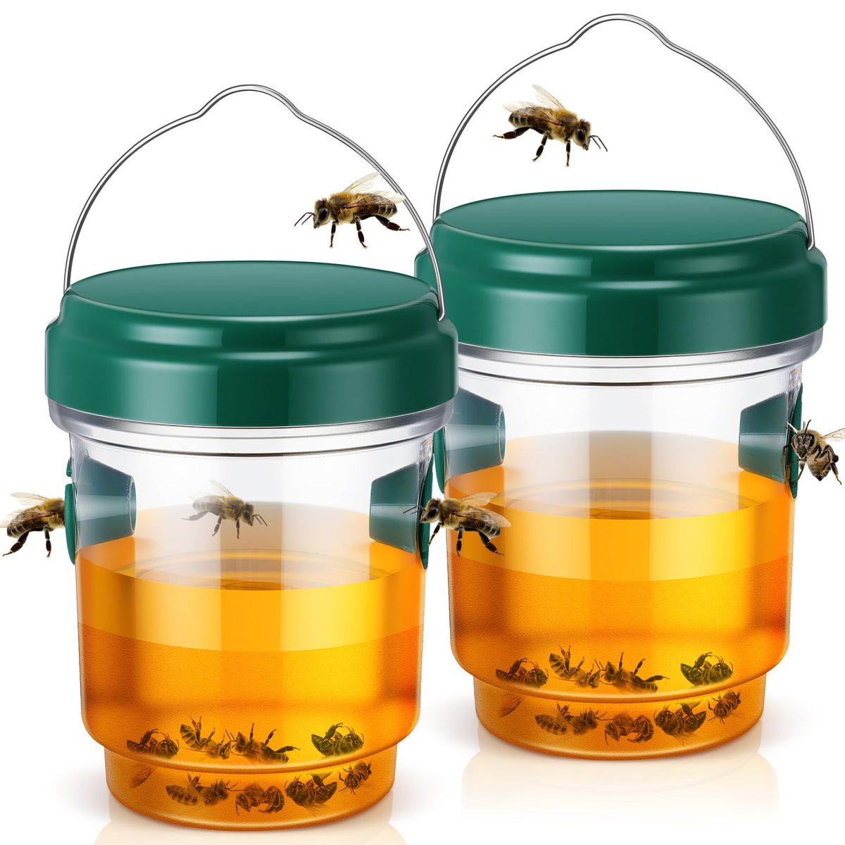 Qualirey 2-pack wasp traps outdoors for effective garden pest control