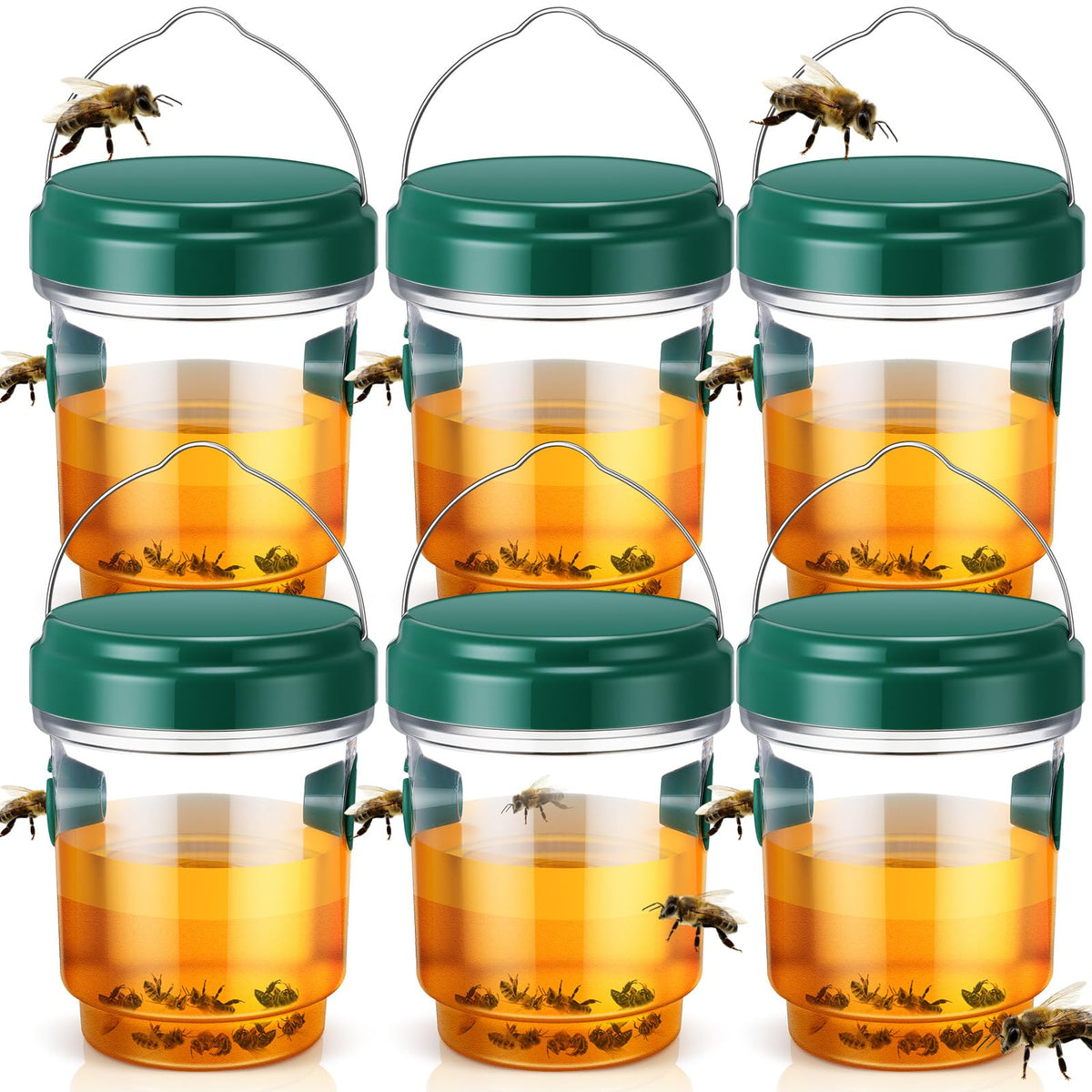 Qualirey Wasp Traps green pack six hanging in garden attract and capture pests safely