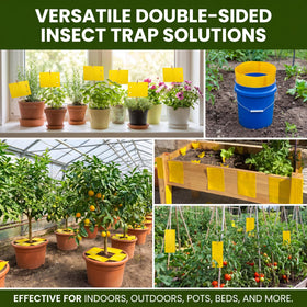 Qualirey waterproof and fade-resistant sticky trap outdoors.