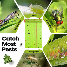 Qualirey waterproof paper fly trap resists humidity for year-round use