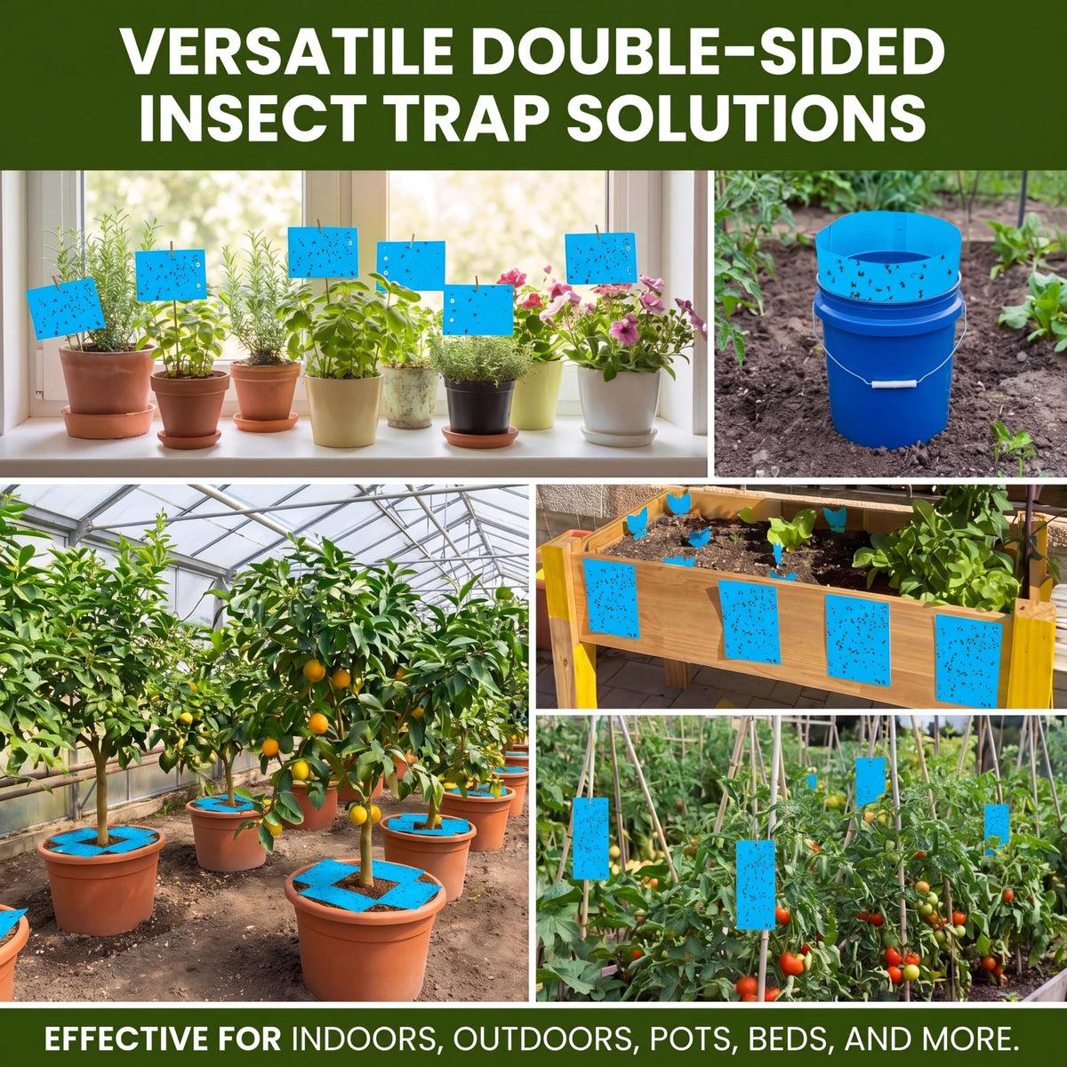Qualirey waterproof sticky trap material resists moisture for outdoor use.