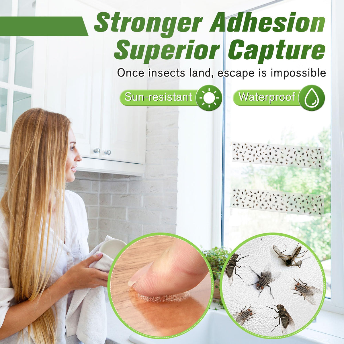 Qualirey weatherproof adhesive fly traps stay effective in sun and humidity