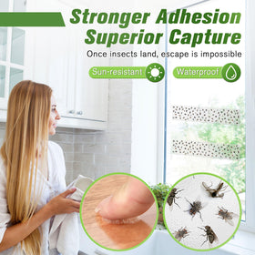 Qualirey weatherproof adhesive fly traps stay effective in sun and humidity