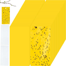 Qualirey yellow double-sided sticky trap close-up, maximizing catches.