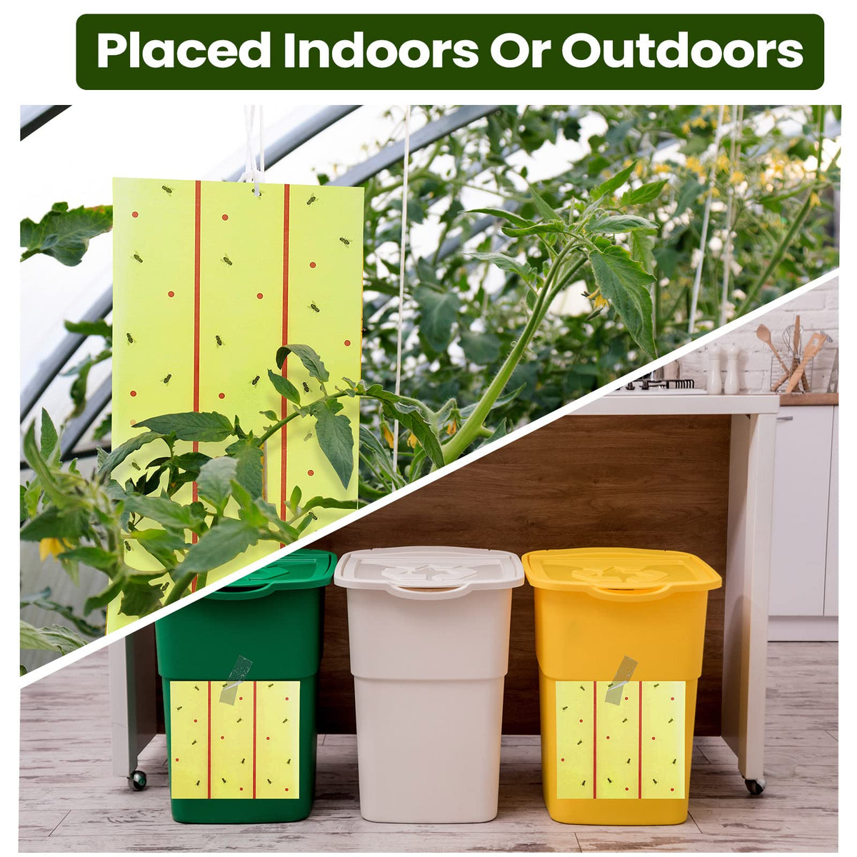 Qualirey yellow traps blend into outdoor spaces while catching flies.